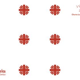 Výroční zpráva 2020